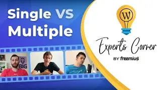 Selling a Single WordPress Plugin or Theme Vs. Multiple Products - Experts Corner