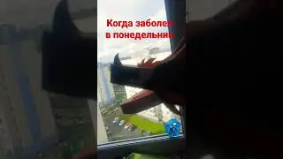 17 сентября 2022 г.