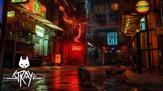 Stray Full Gameplay Walkthrough [PC] No Commentary