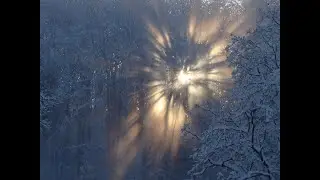 Софья Чаплина. Ты спишь. Тебя никто не тронет...Читает Илика