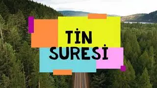 TİN SURESİ 🌷 Ruhunuzu Dinlendiren SURE 📢📣 #ALLAH #TİNSURESİ #KURAN