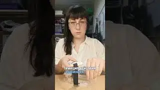 #ошейникантилай