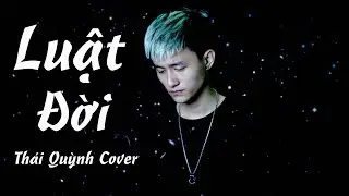 Luật Đời | Hoàng Minh | Thái Quỳnh Cover | Hot Tiktok 2020