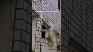 Por que essa cidade está fechando tudo?