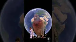 Huge birds😱on Google Earth 
