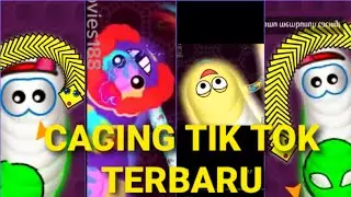 Kumpulan Cacing Viral Tik tok || Vidio Cacing Tik tok