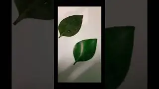 leaf painting with real leaf#Realistic painting#creative