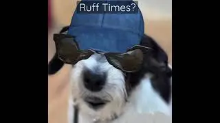 When Things Get RUFF!