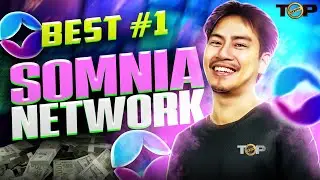Somnia Network | Metaverse for Beginners | Best Cryptocurrency to Invest