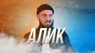 Приключения Алика 