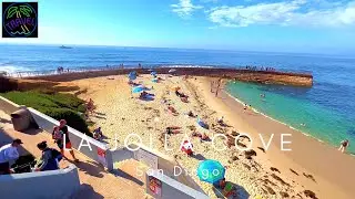 🇺🇸 La Jolla Cove in San Diego California 2022 Walking Tour & Travel Guide | 🎧 Binaural Audio