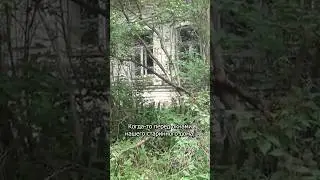 Старые пни покинули хутор 