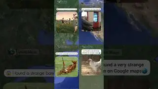 🔥TOP🔥 Amazing Things Found On Google Maps #alexmaps #googlemaps #googleearth