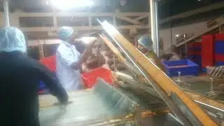 Britannia biscuit packing machine by (HASMI MALEK)