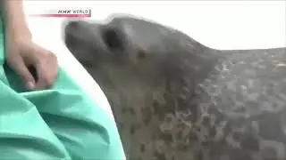 *Squish**Squish*