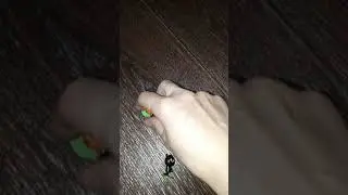 Три кота и друзья