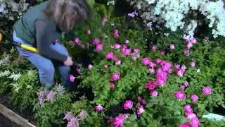 Spear Head Spade - Reinforced Fiberglass Gardening Shovel with Cushioned D Grip | BestYardTips