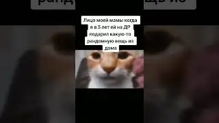 Смешное лицо кота #жиза #меме #мем