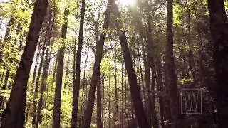 Softly & Tenderly - Faith That Moves Mountains