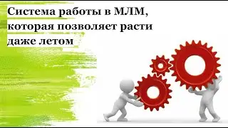 Система работы в МЛМ, которая позволяет расти даже летом ☀