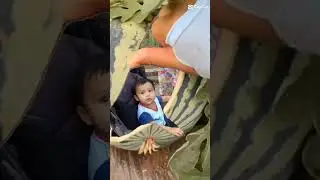 Semangka Mama #ngeshortsdulu #shorts