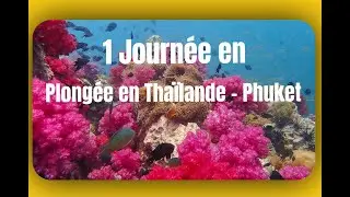 Plongée sous marine (diving) au départ de  Phuket