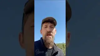 После боя сердце просит музыки вдвойне