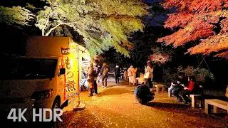 Rikugien Autumn Walk Tokyo Day and Night Illuminations | Japan