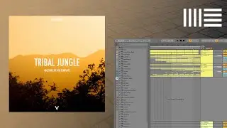 Afro House Ableton 10 Template (Tribal Jungle) (Kususa, Black Coffee, QueTornik Style)