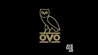 FREE Drake x Ovo Type Beat - 