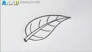 How to draw a leaf | Pata Drawing easy | Pencil Drawing