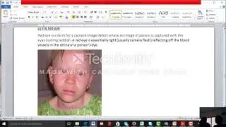Picture Manager in Microsoft Office