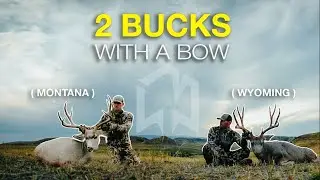 I can't believe I killed 2 BIG BUCKS in the same trip! (full episode)