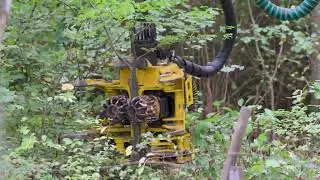 JOHN DEERE 1070G MOIPU 300F1 EAST LOGGERS