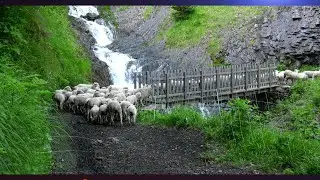 Alpages en Isère