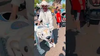SO CUTE - Let’s Visit Disney’s “Merry Menagerie” at Animal Kingdom ❄️🐻‍❄️🐧