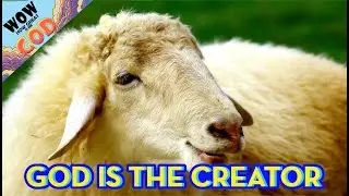 God is the Creator - #1 (Wow! How great is our God)