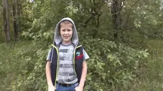Признаки того, что у тебя Чупа Чупс.