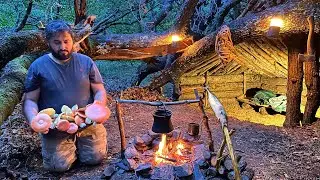 Bushcraft Survival Camping; Building a Warm and Cozy Nest - Tree House - Mushroom Cooking