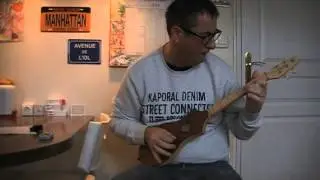 Irish Pub - Seagull Merlin