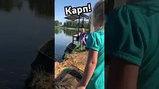 Карп! Рыбхоз Клинский. #рыбалка #carpfishing #fishing #carp #sports #россия #подпишись
