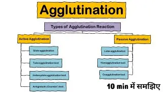 Agglutination Reaction | Types of agglutination | Active | Passive | Microbiology | Ag-Ab Reaction