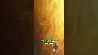 НЛО видео  Загадочное существо было заснято на камеру 