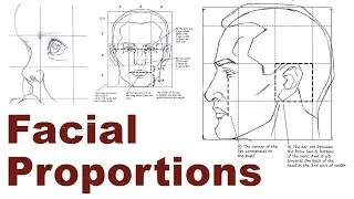 Portrait Drawing Basics 2/3 - Facial & Head Proportions