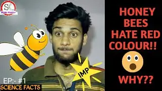 WHY HONEY BESS ARE NOT ATTRACTED TOWARDS RED COLOUR?? || MOST IMPORTANT FOR NEET|| SCINO HARSHU