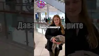 Субо КАК ВАМ ЗАДАНИЕ!? ЧТО ЕЩЕ СДЕЛАТЬ!?