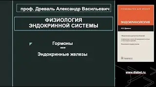 Лекция №1. Физилогия эндокринной системы.