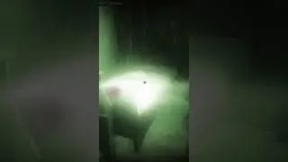 Будни таркова. Заложи цепочки и постарайся выжить. 