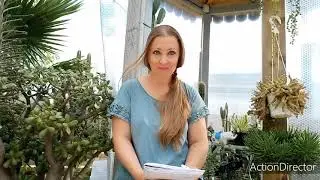 Зимовка Кактусов🌵Когда?Как?Почему?Мой опыт🧐