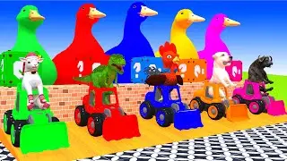 5 Giant Duck, Cow, Elephant, Ferdinand, Gorilla, Lion, Transfiguration funny animal 2023
